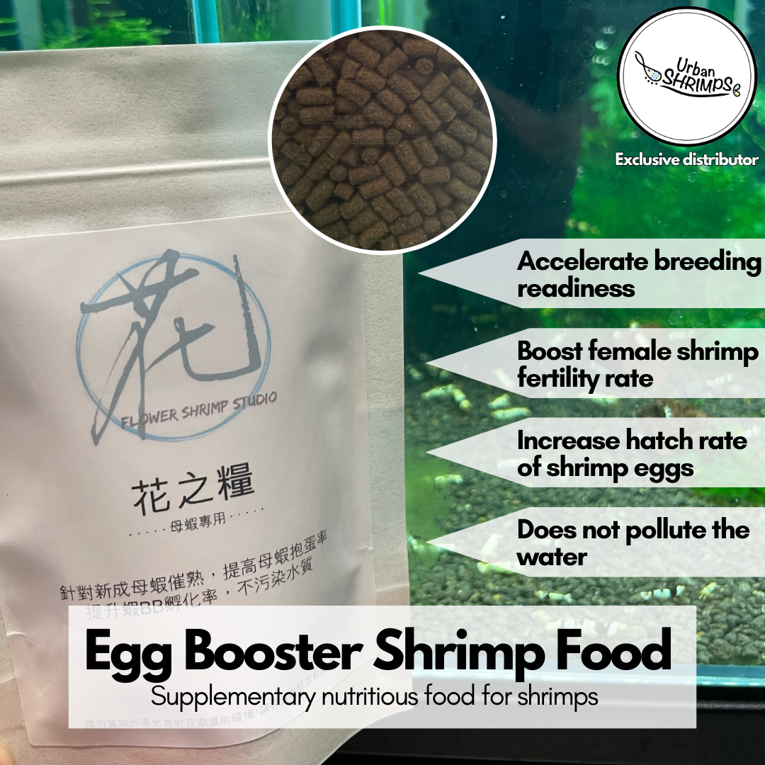 FSS Egg Booster Shrimp Food