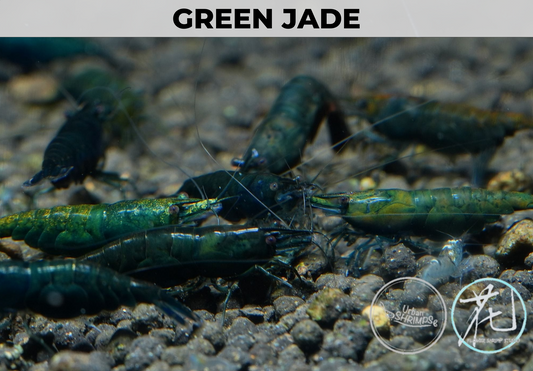 Green Jade