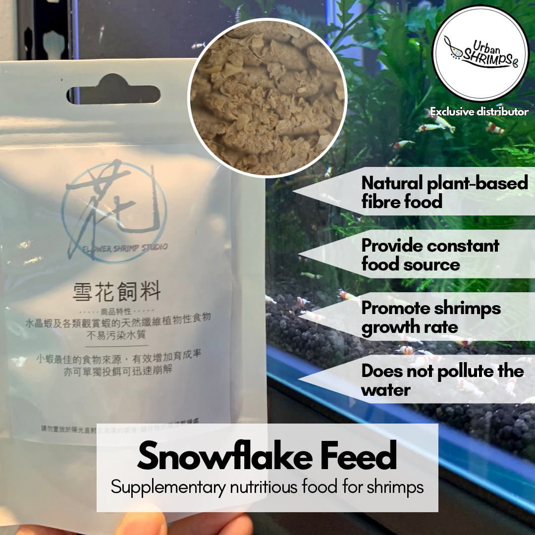 FSS Snowflake Feed